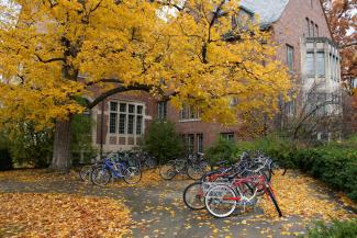 Building with tree and bikes in front of it. 